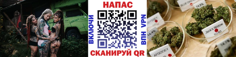 Купить закладку Старица Конопля  Альфа ПВП  ГАШ  Кокаин 
