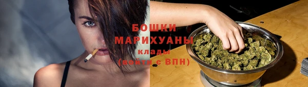 хмурый Бронницы
