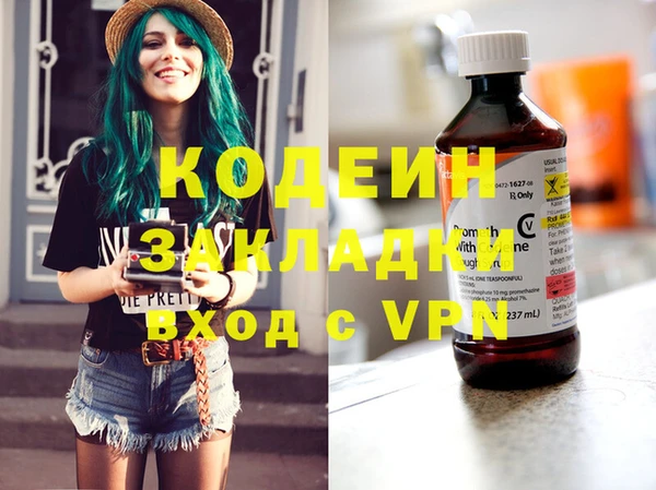хмурый Бородино